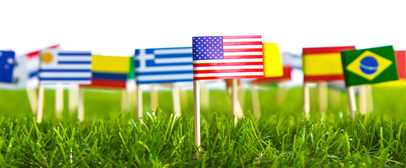 Field of flags